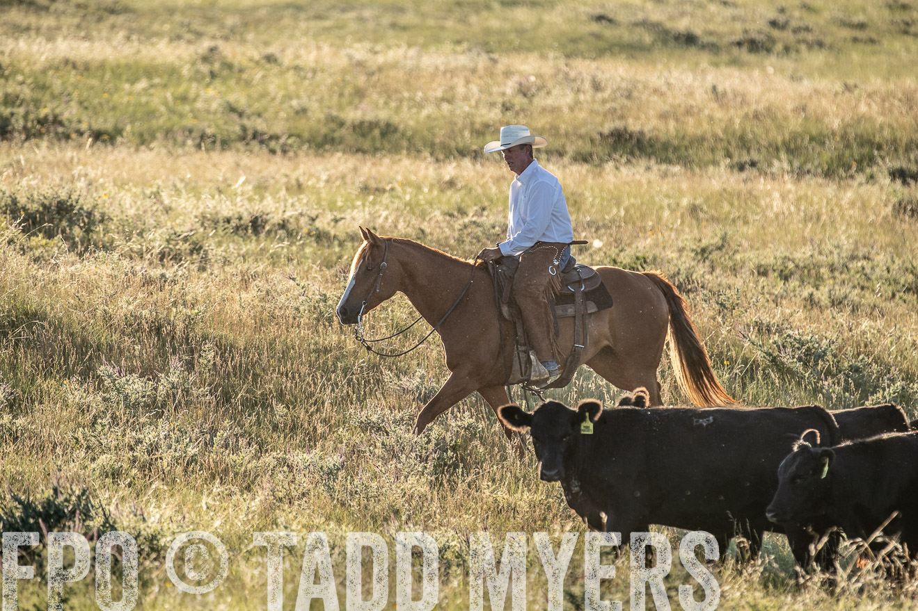 PP_TuckerRanch_NE_July2019-7500