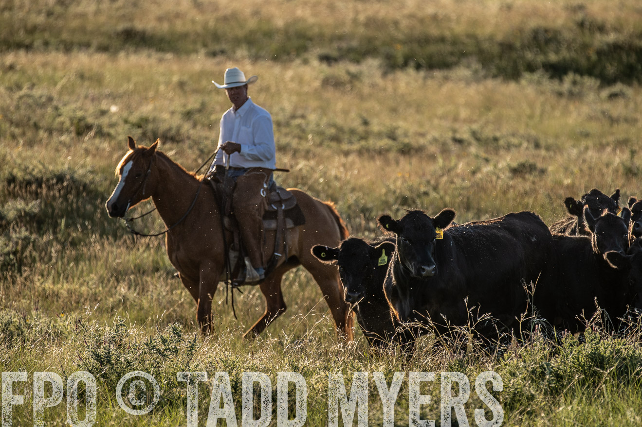 PP_TuckerRanch_NE_July2019-7514