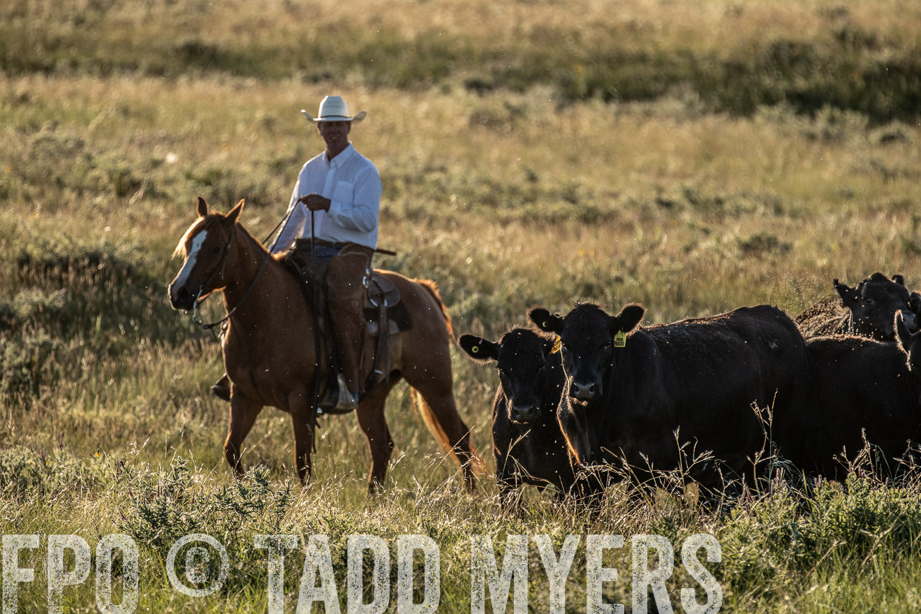 PP_TuckerRanch_NE_July2019-7516