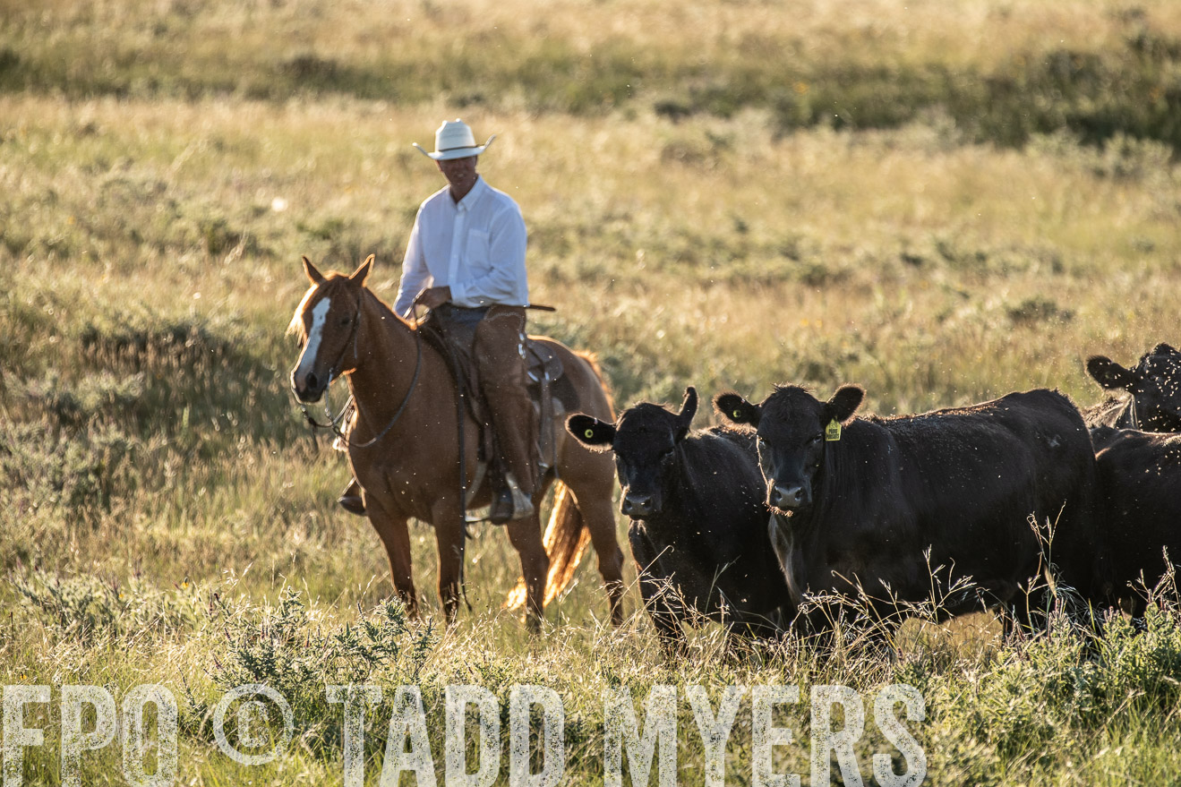 PP_TuckerRanch_NE_July2019-7517