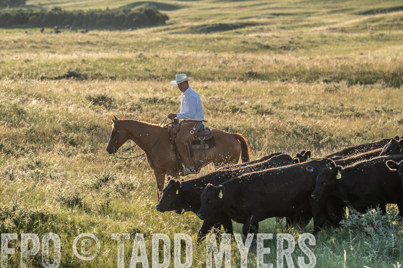 PP_TuckerRanch_NE_July2019-7547