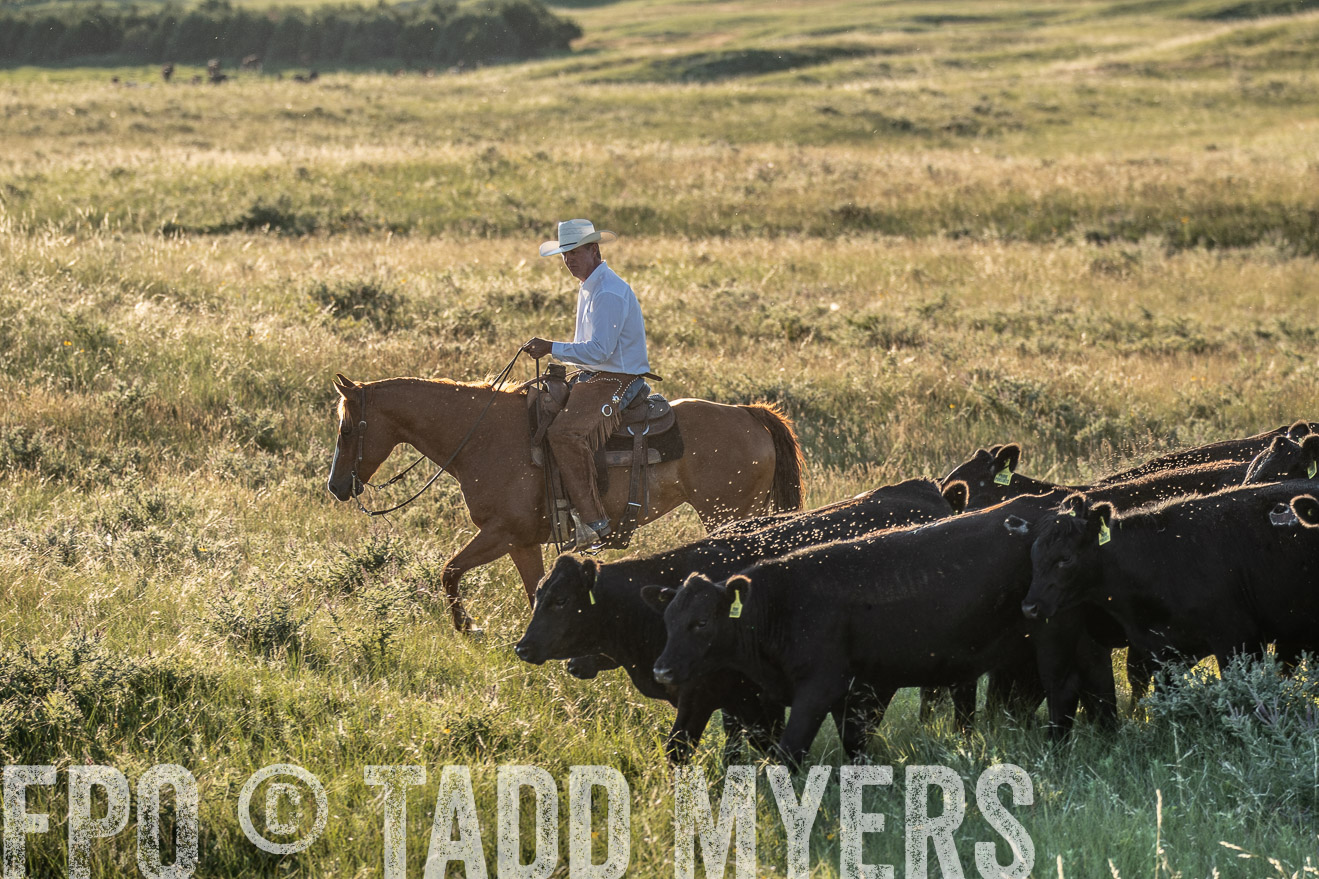 PP_TuckerRanch_NE_July2019-7548