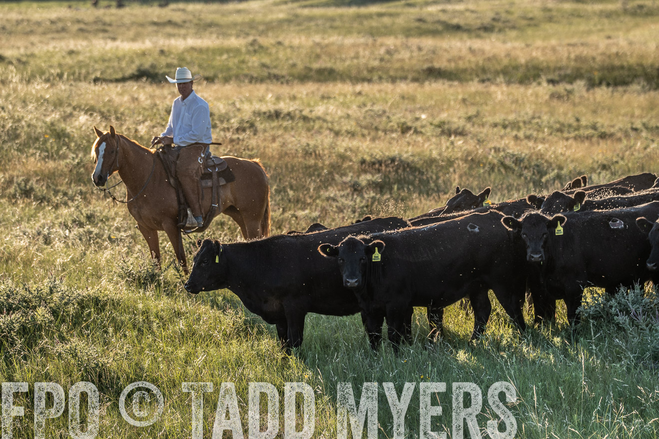 PP_TuckerRanch_NE_July2019-7552