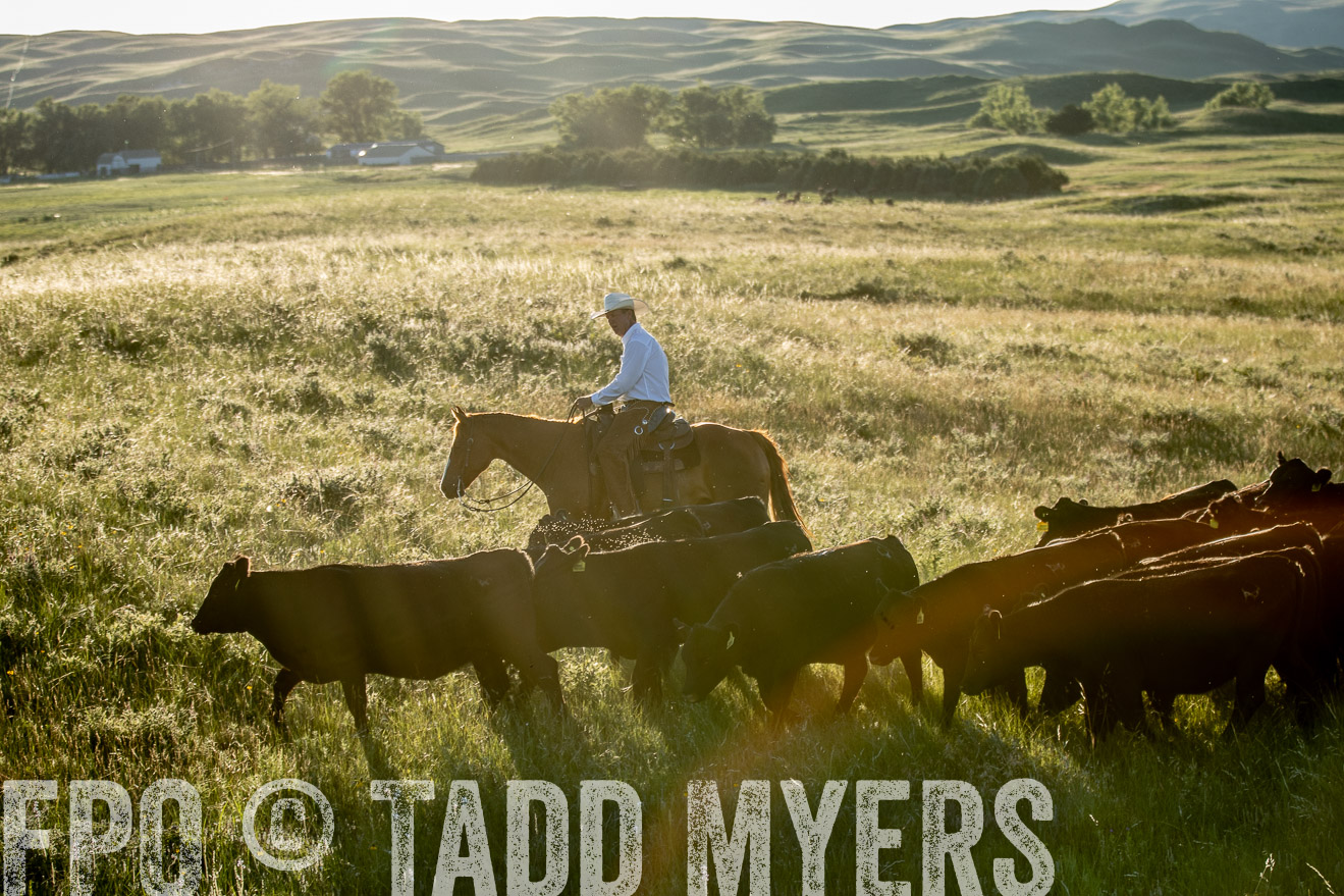 PP_TuckerRanch_NE_July2019-7562
