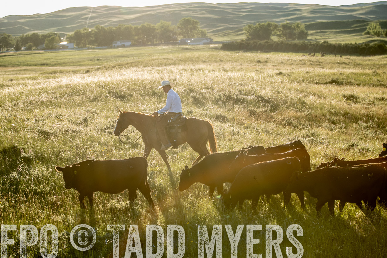 PP_TuckerRanch_NE_July2019-7564