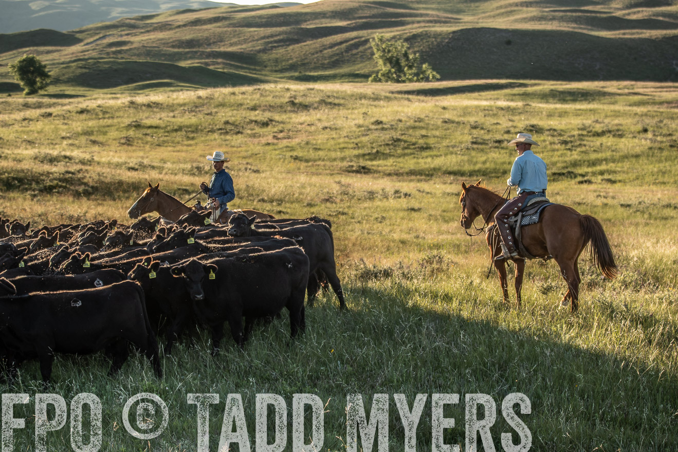 PP_TuckerRanch_NE_July2019-7571