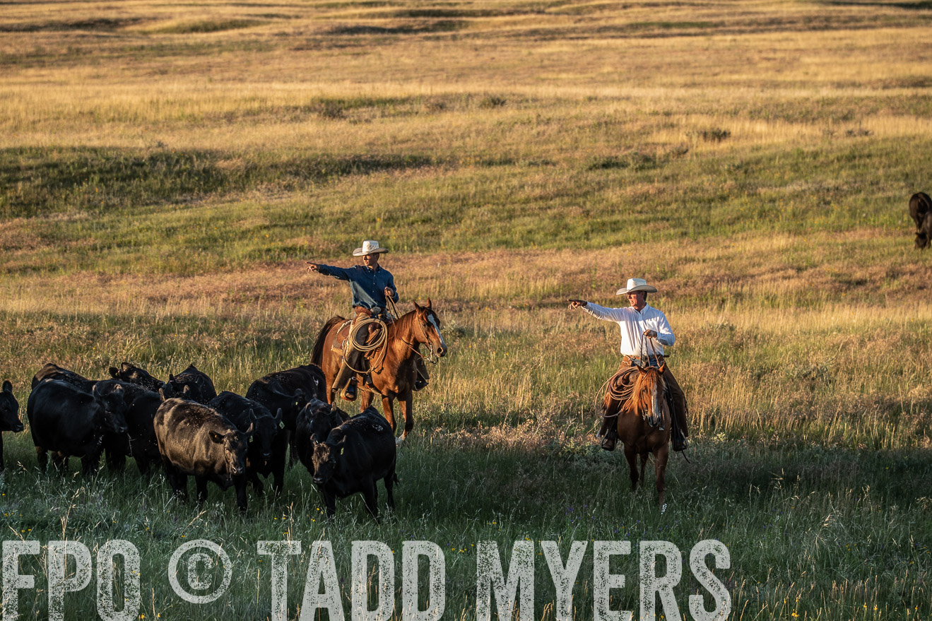 PP_TuckerRanch_NE_July2019-7588