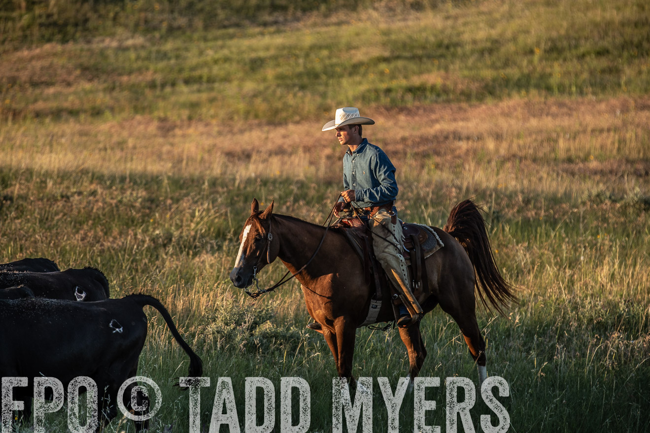 PP_TuckerRanch_NE_July2019-7591