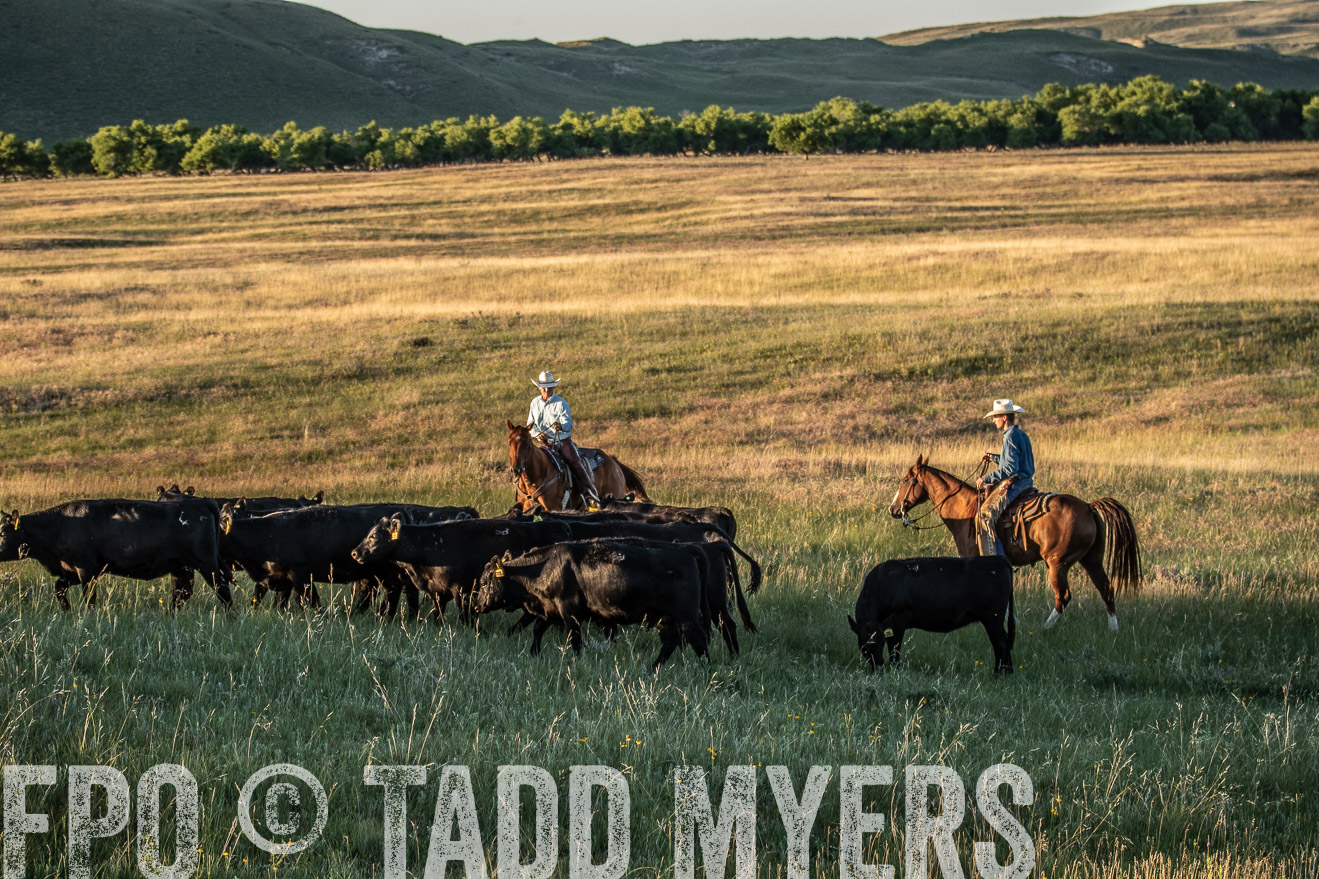 PP_TuckerRanch_NE_July2019-7593