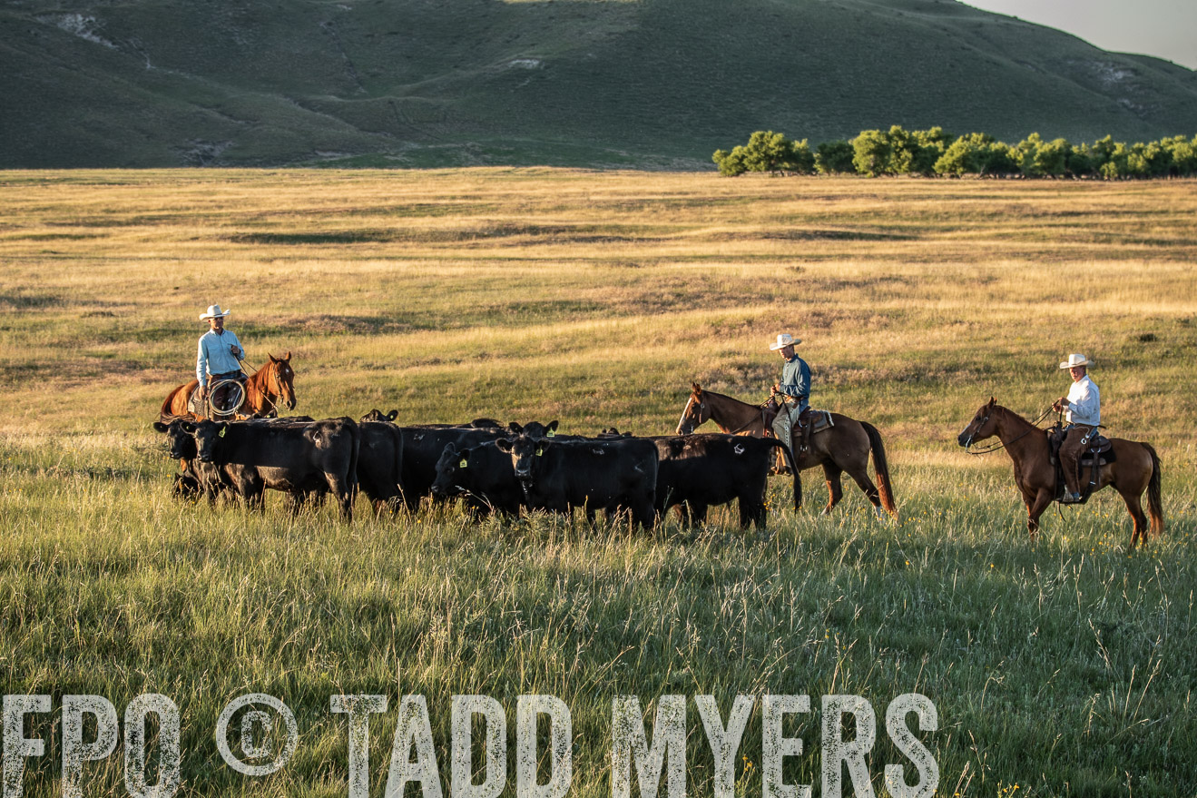 PP_TuckerRanch_NE_July2019-7606