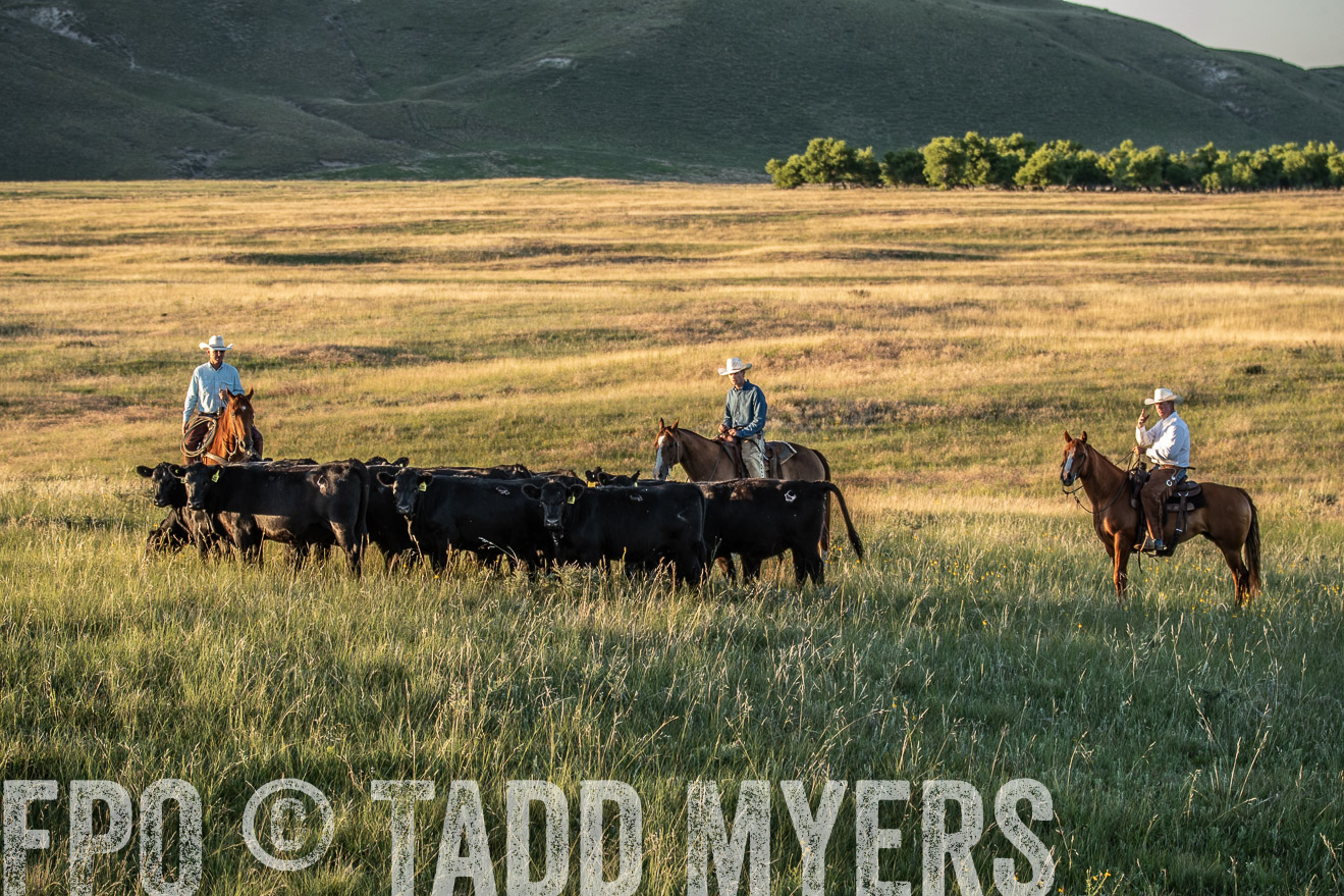 PP_TuckerRanch_NE_July2019-7609