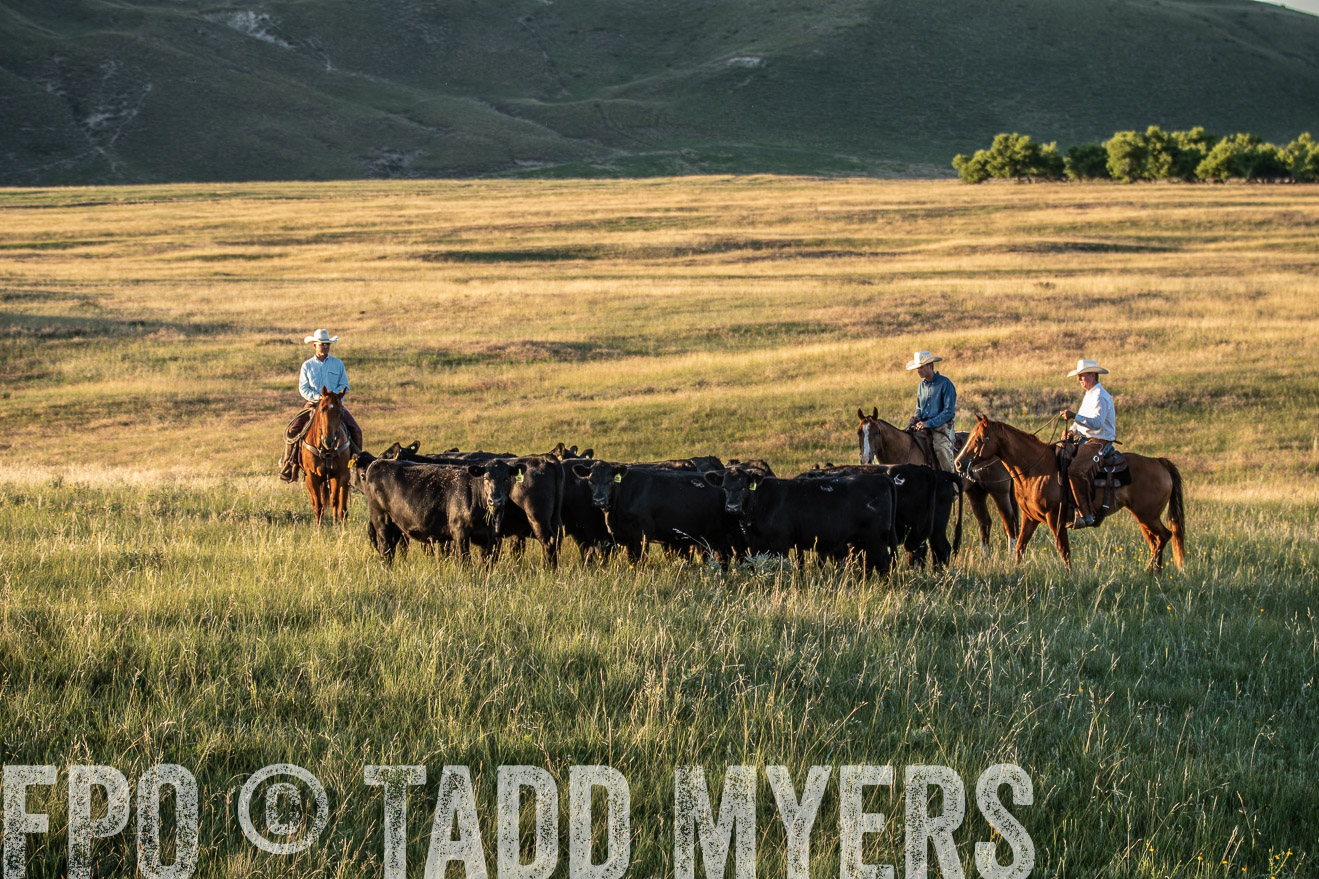 PP_TuckerRanch_NE_July2019-7610