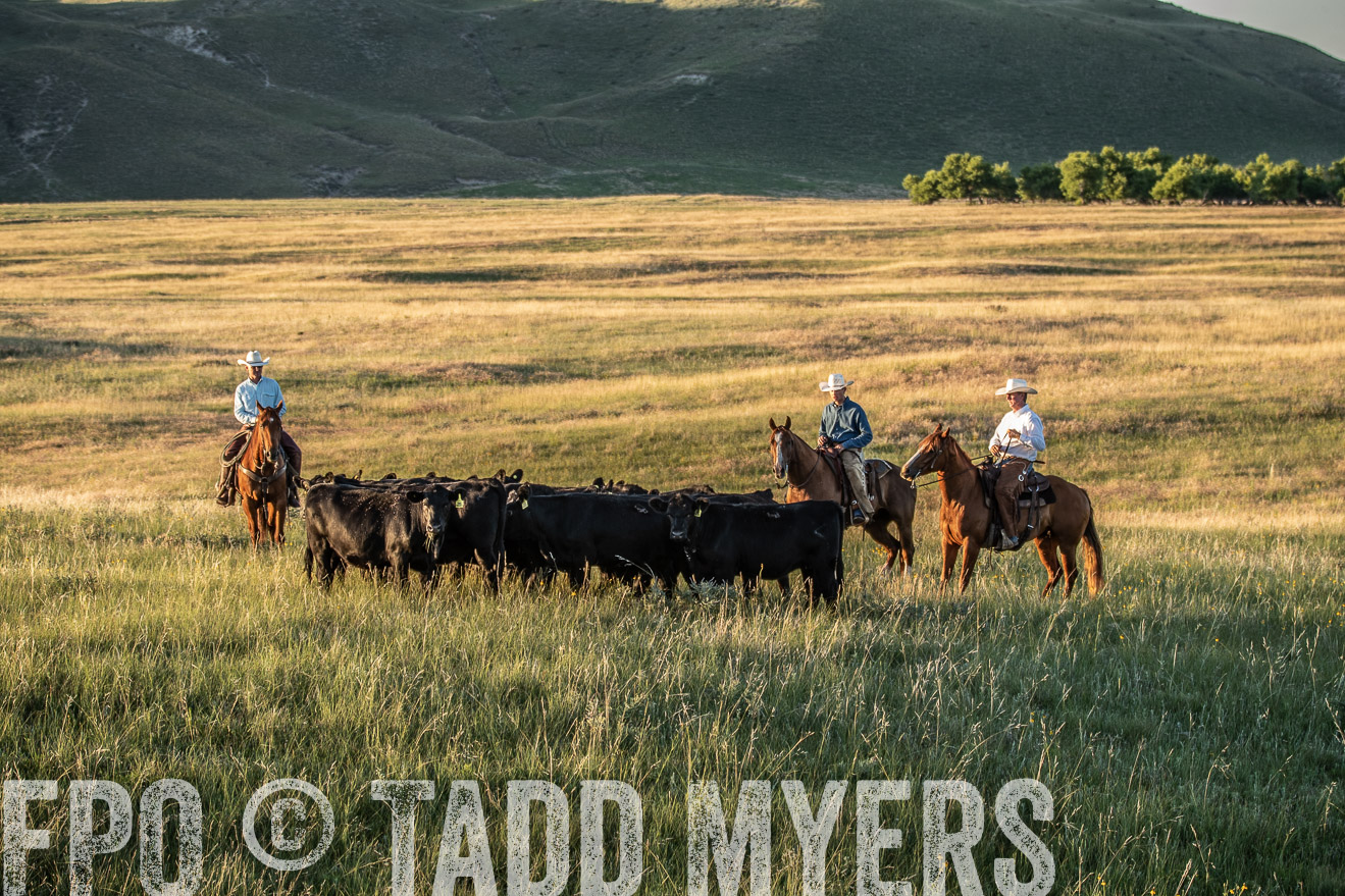 PP_TuckerRanch_NE_July2019-7611