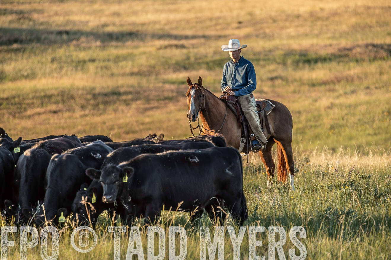PP_TuckerRanch_NE_July2019-7628