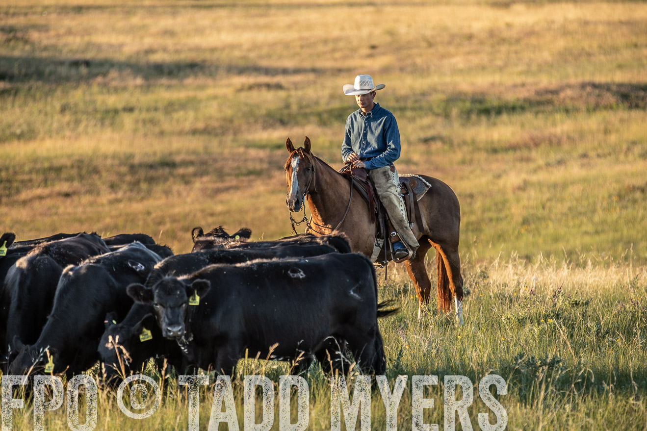 PP_TuckerRanch_NE_July2019-7629