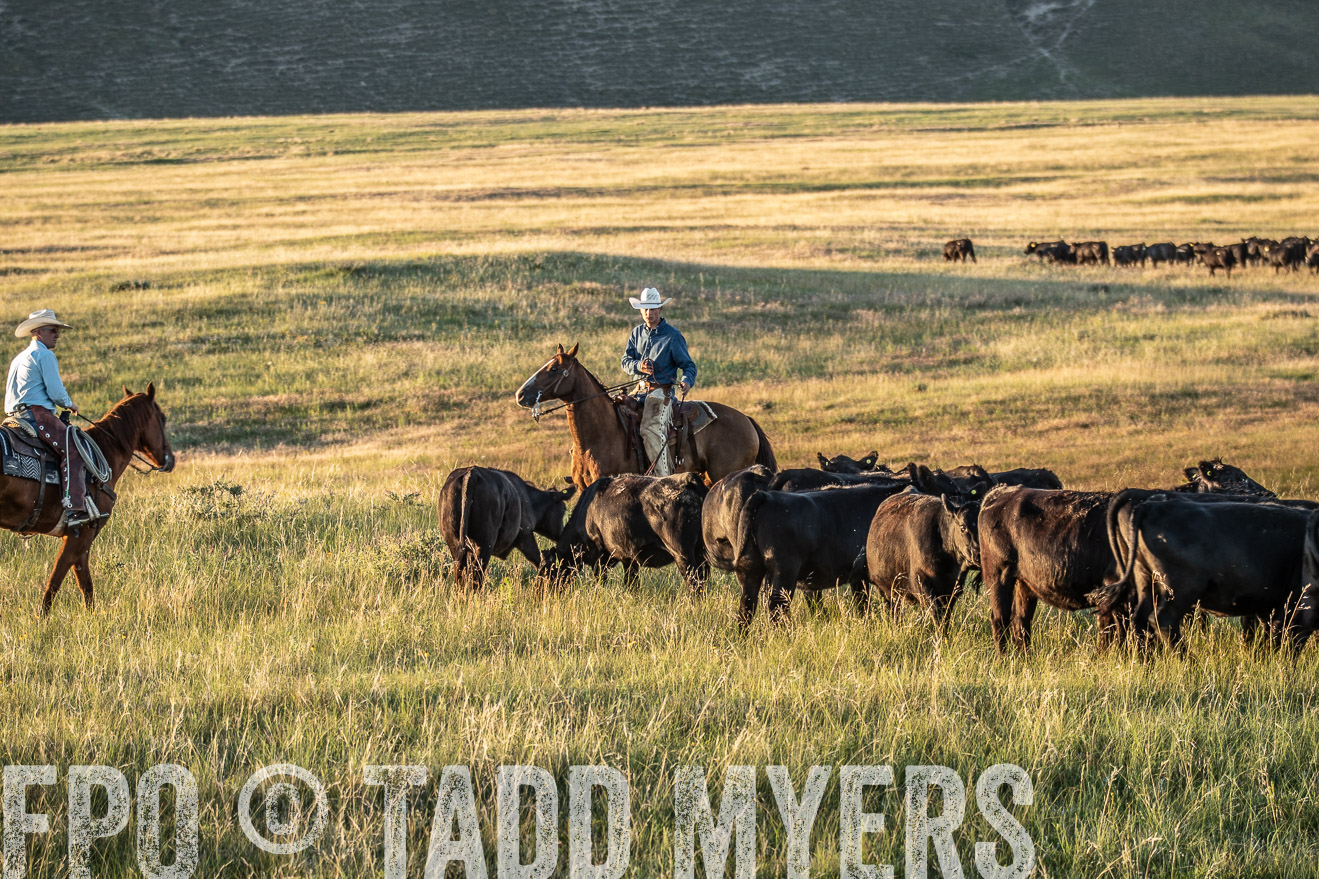 PP_TuckerRanch_NE_July2019-7641