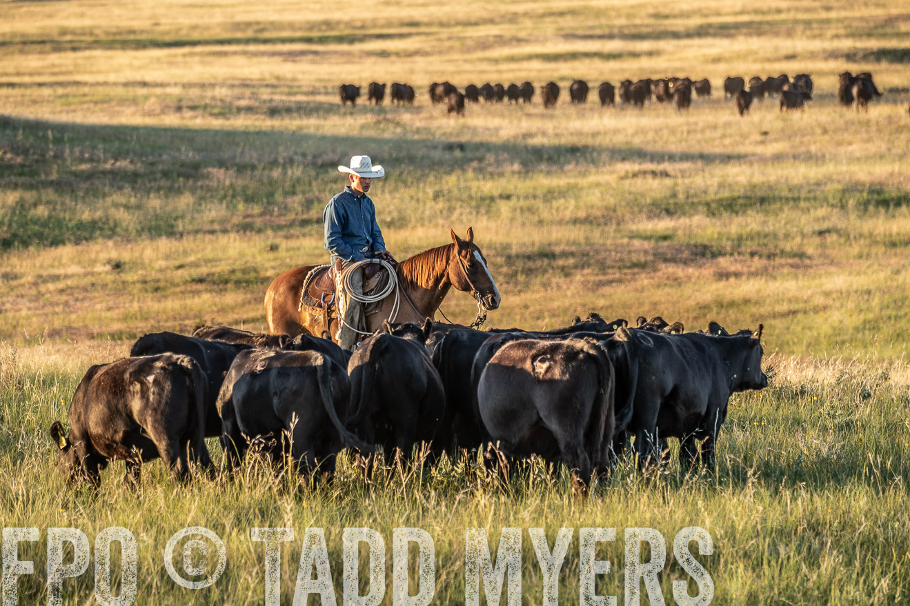 PP_TuckerRanch_NE_July2019-7655
