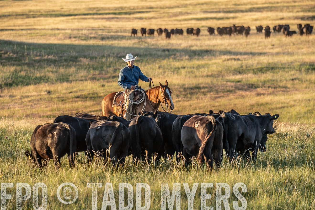 PP_TuckerRanch_NE_July2019-7656