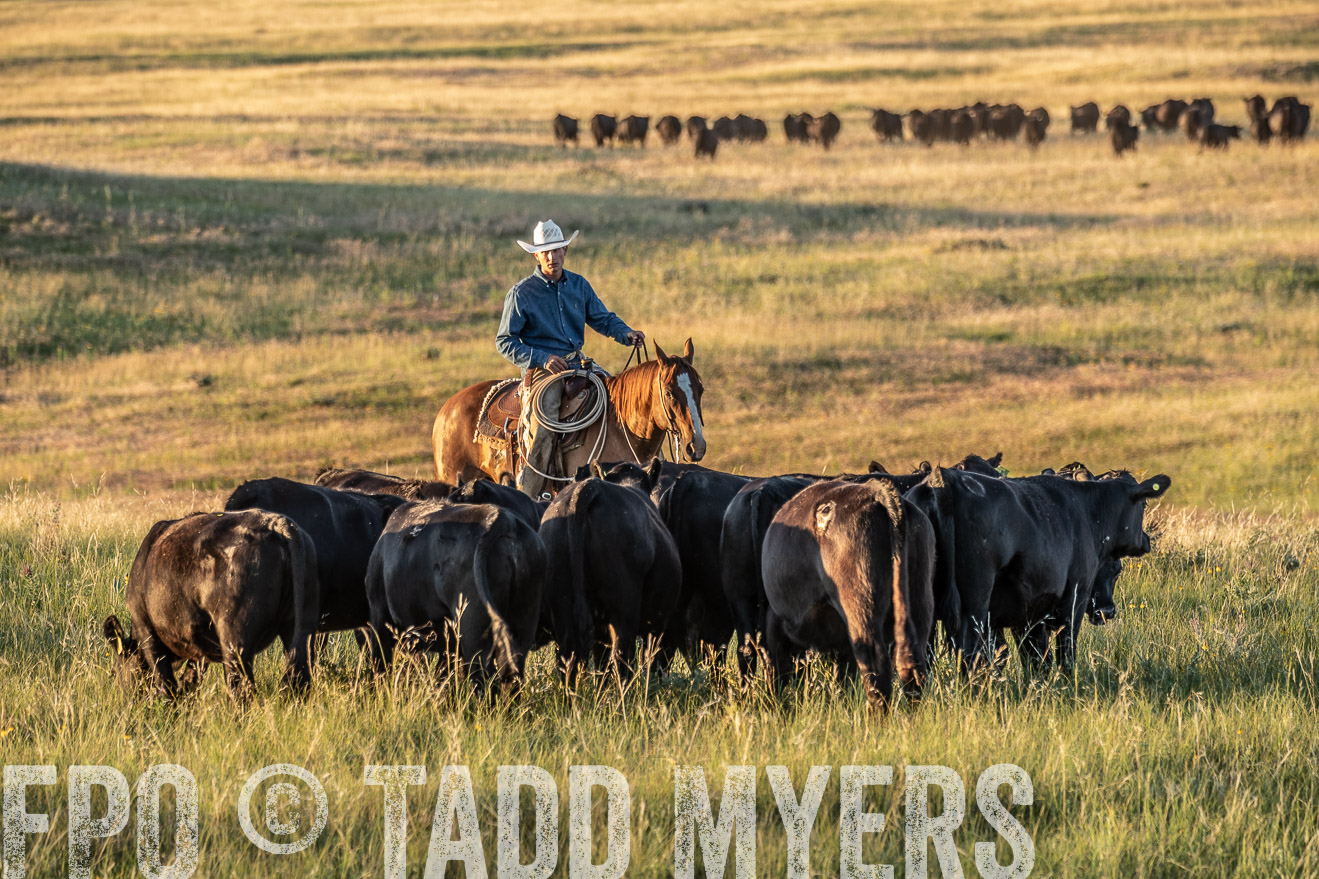 PP_TuckerRanch_NE_July2019-7657
