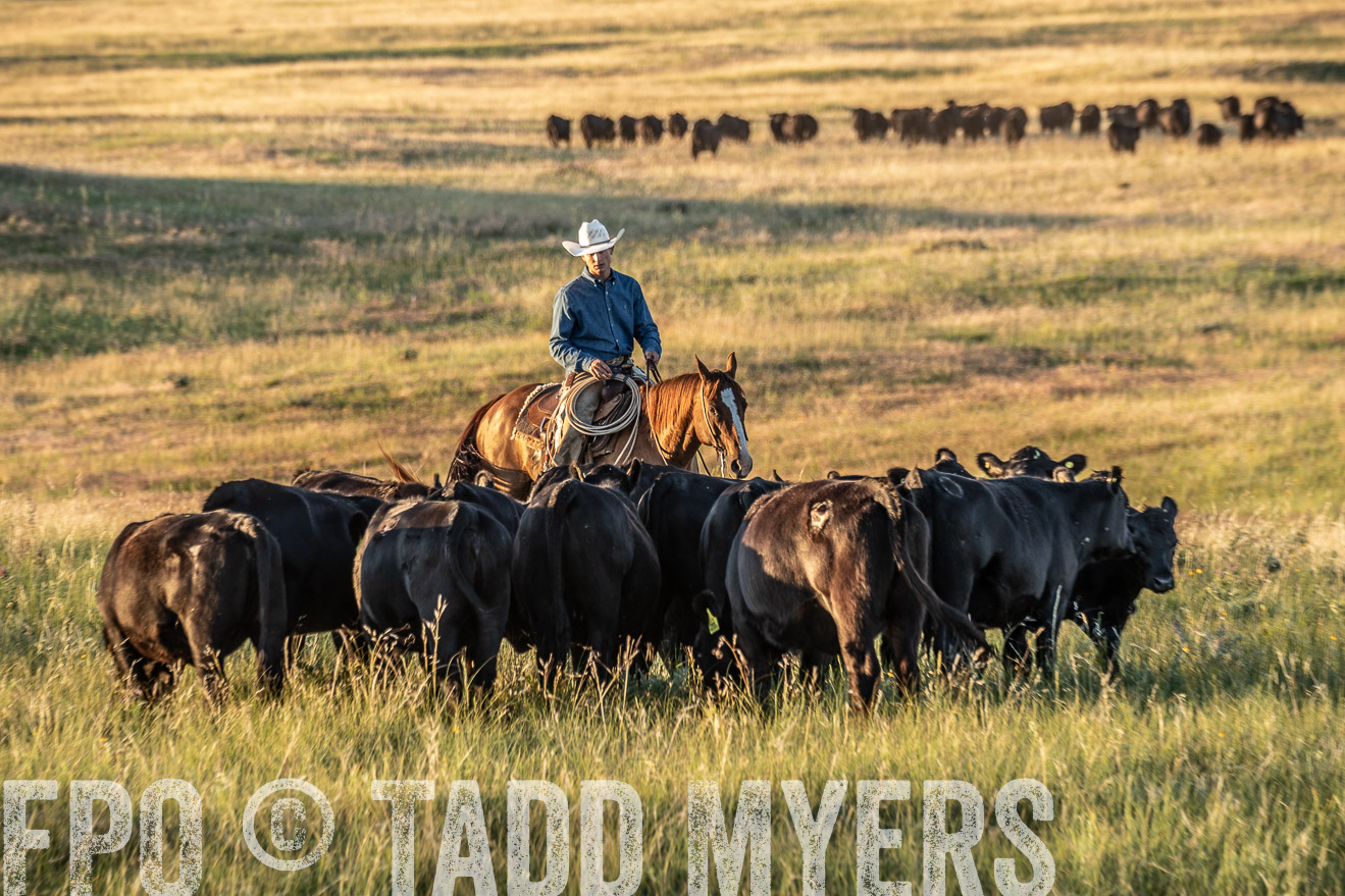 PP_TuckerRanch_NE_July2019-7661