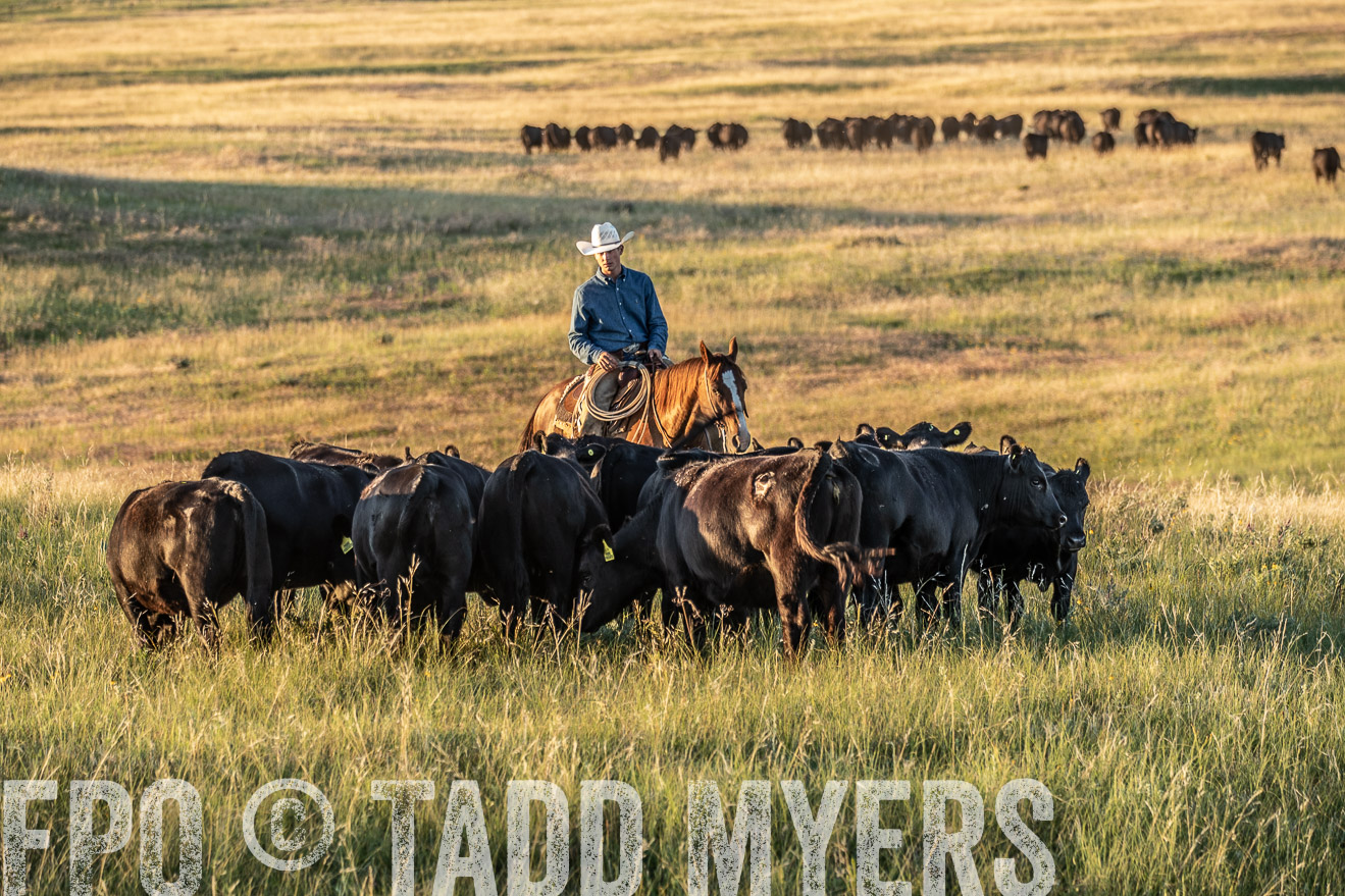 PP_TuckerRanch_NE_July2019-7663