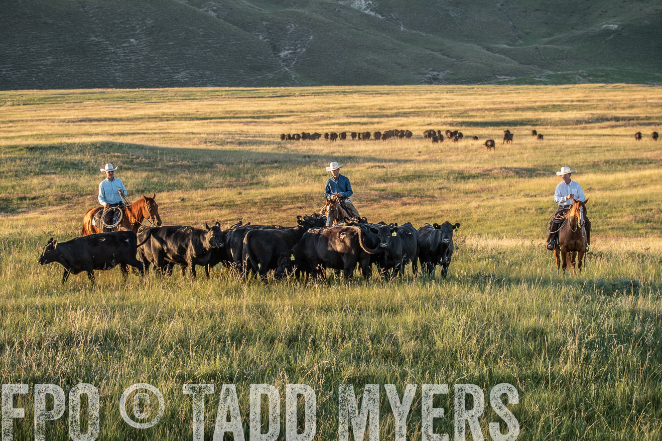 PP_TuckerRanch_NE_July2019-7665