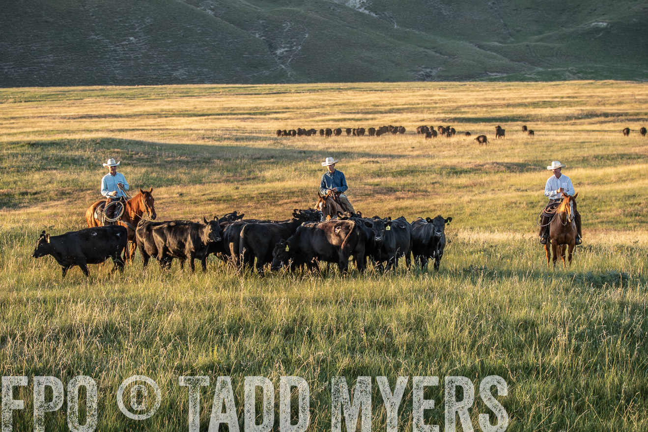 PP_TuckerRanch_NE_July2019-7666