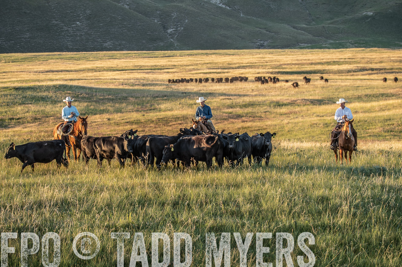 PP_TuckerRanch_NE_July2019-7668