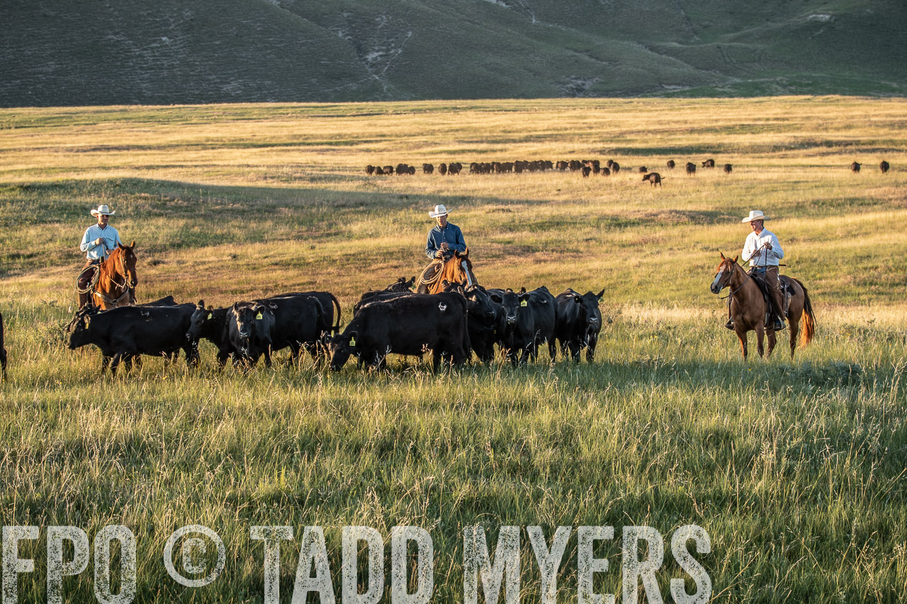 PP_TuckerRanch_NE_July2019-7669