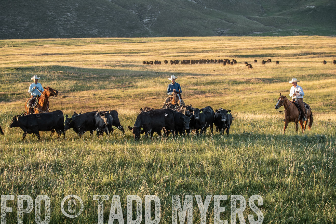PP_TuckerRanch_NE_July2019-7670