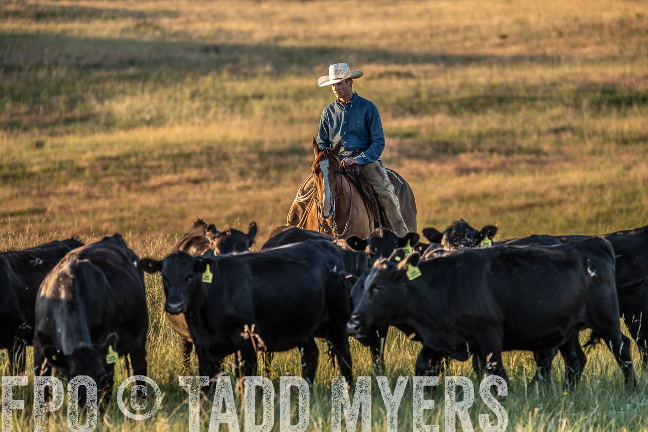 PP_TuckerRanch_NE_July2019-7674