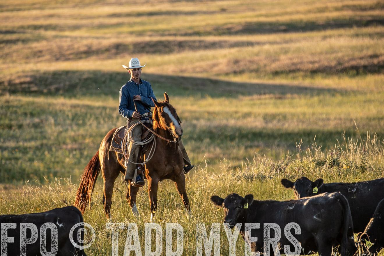 PP_TuckerRanch_NE_July2019-7707