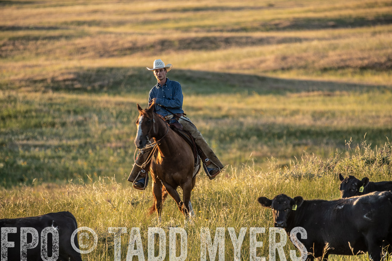 PP_TuckerRanch_NE_July2019-7708