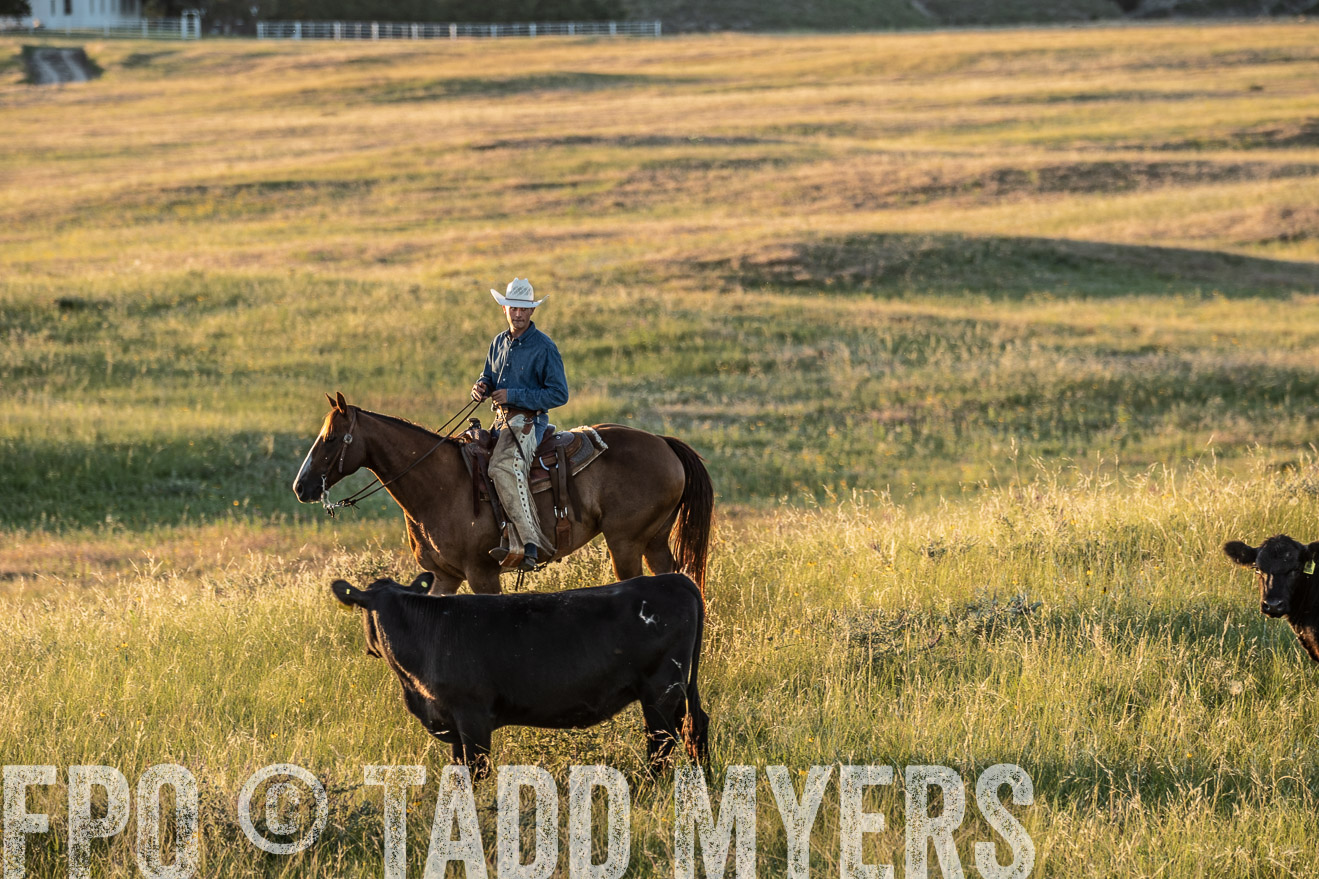 PP_TuckerRanch_NE_July2019-7712