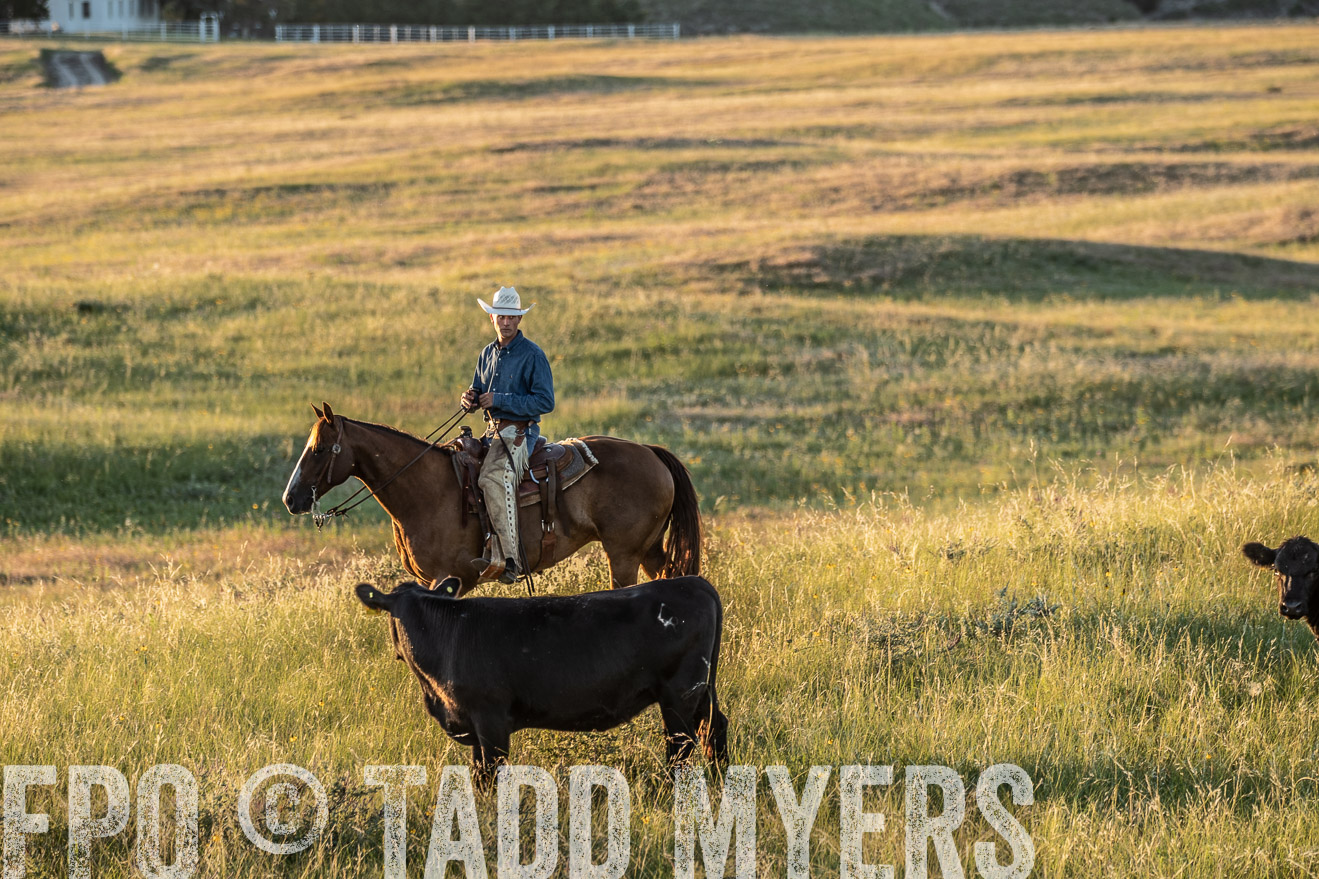 PP_TuckerRanch_NE_July2019-7713