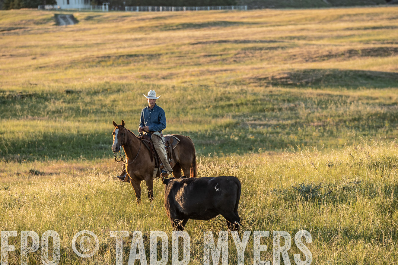 PP_TuckerRanch_NE_July2019-7714