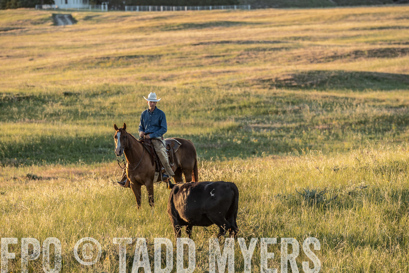 PP_TuckerRanch_NE_July2019-7715