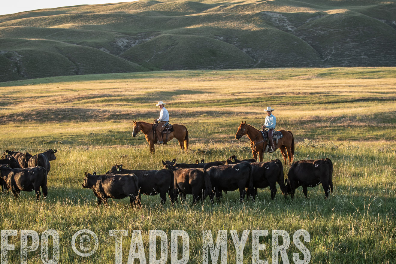 PP_TuckerRanch_NE_July2019-7716