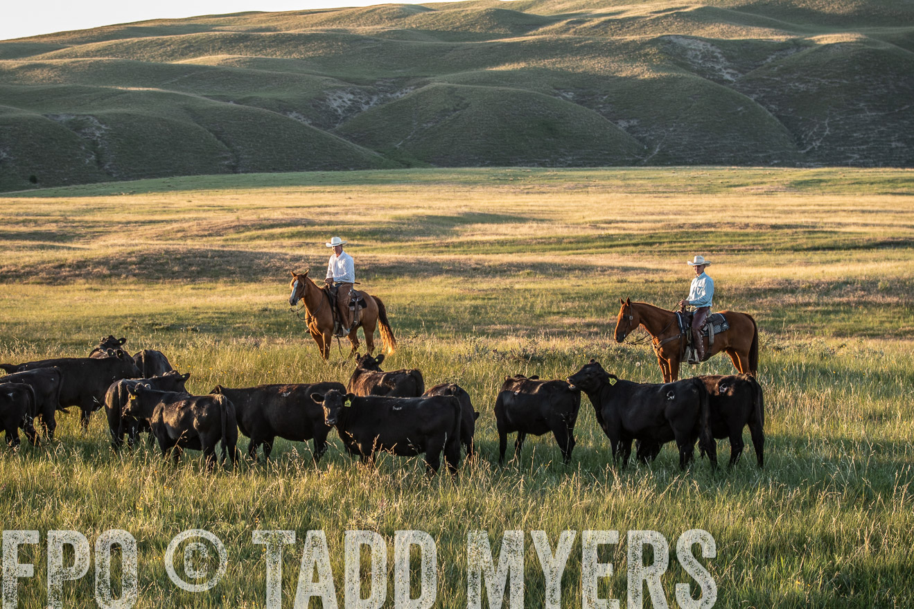 PP_TuckerRanch_NE_July2019-7718