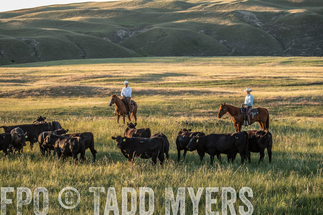 PP_TuckerRanch_NE_July2019-7720
