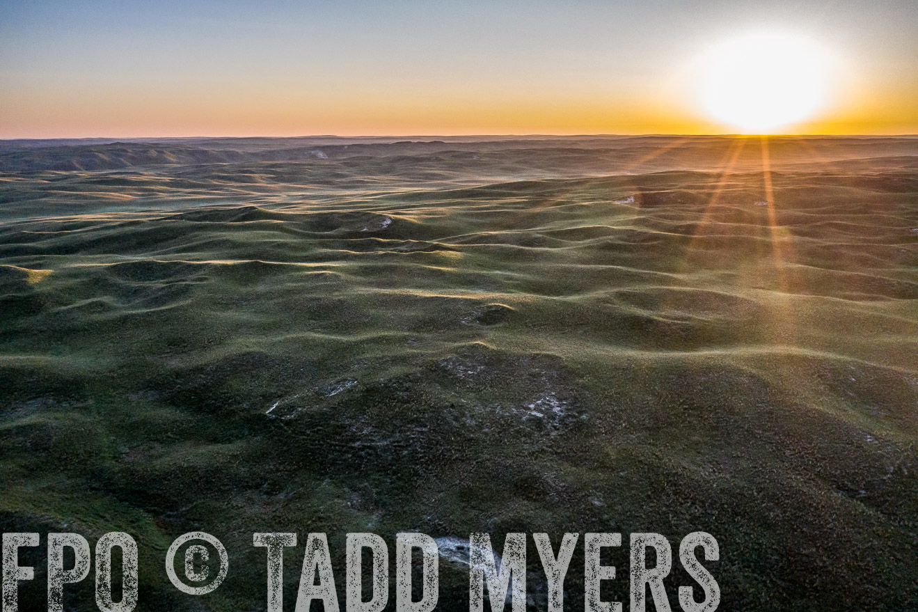 PP_TuckerRanch_NE_July2019-0339