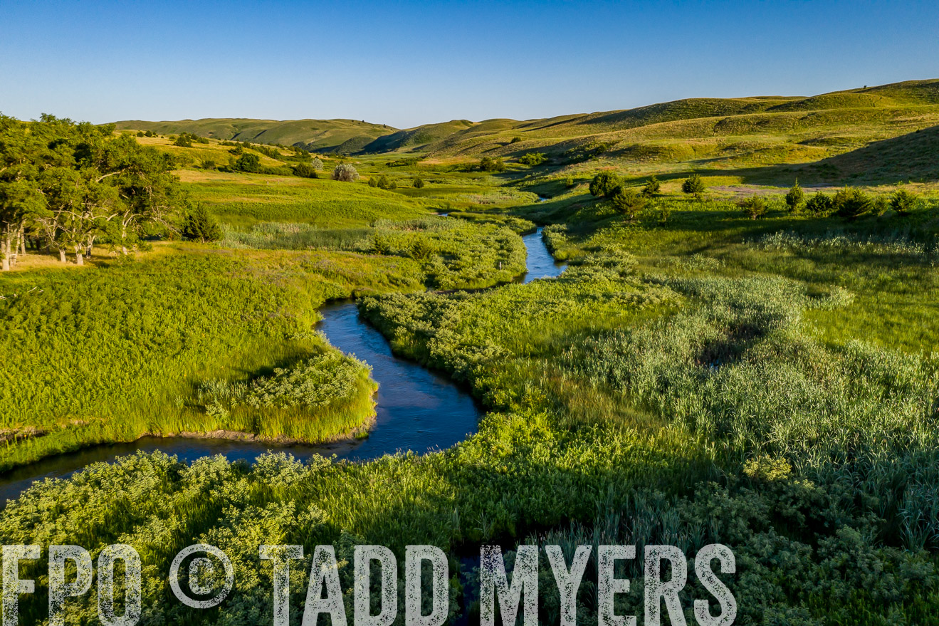 PP_TuckerRanch_NE_July2019-0559