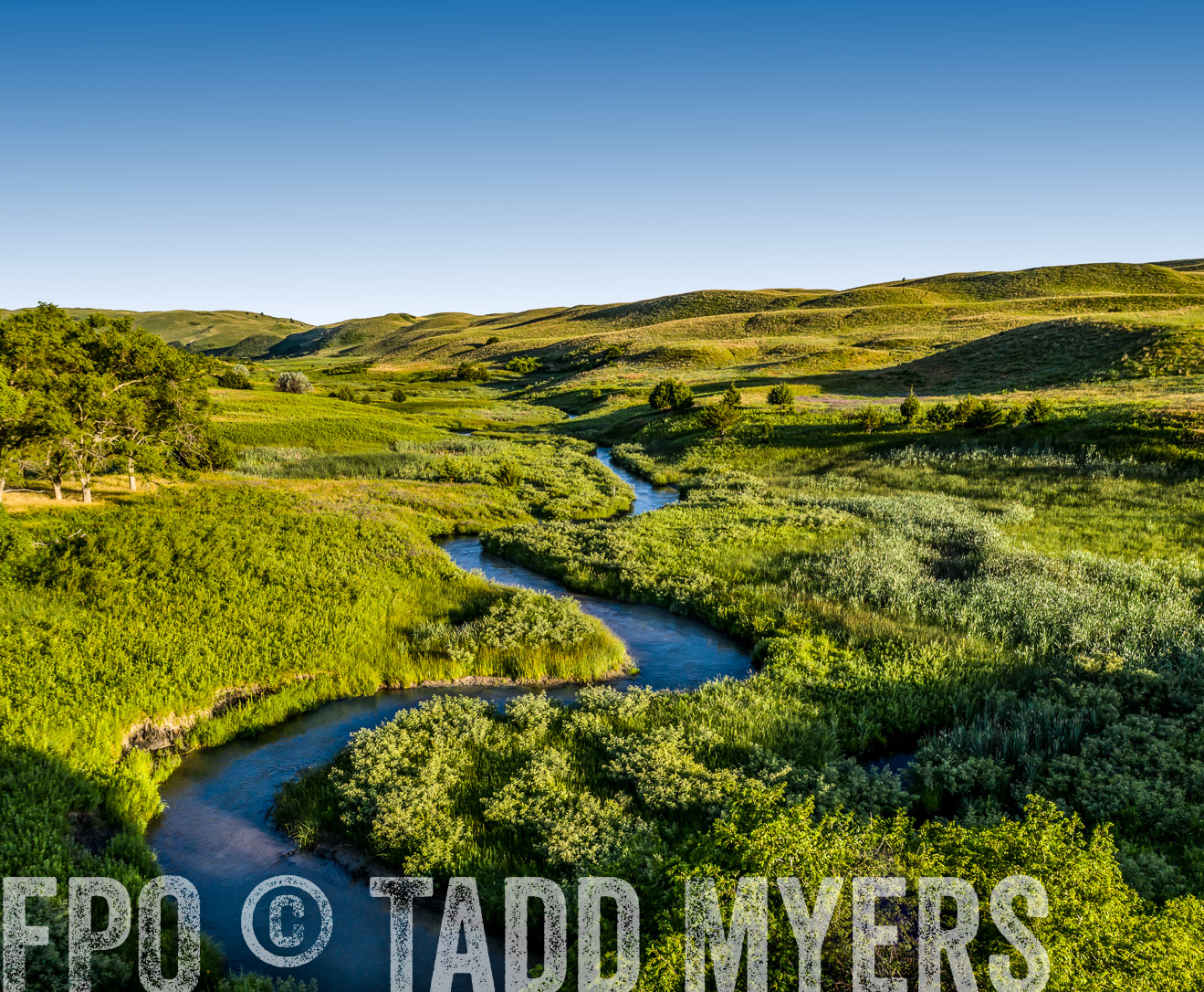 PP_TuckerRanch_NE_July2019-0571-1