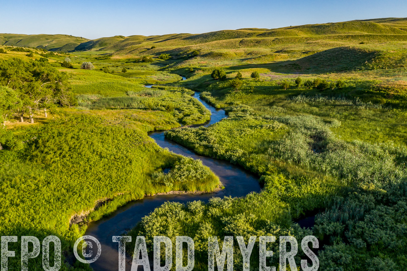 PP_TuckerRanch_NE_July2019-0598