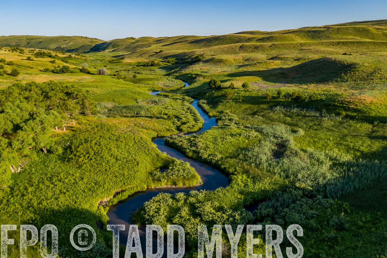 PP_TuckerRanch_NE_July2019-0607