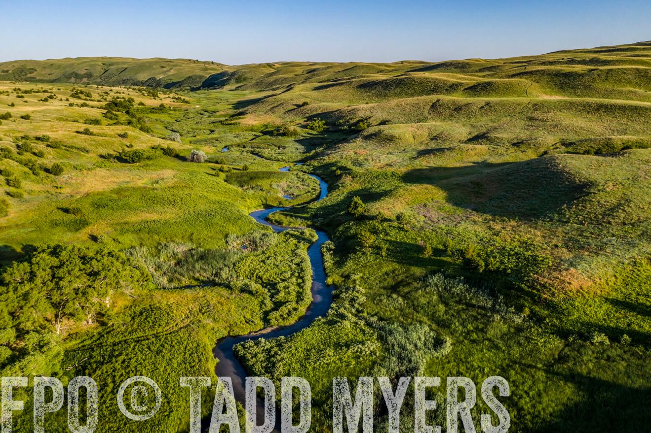PP_TuckerRanch_NE_July2019-0628-1