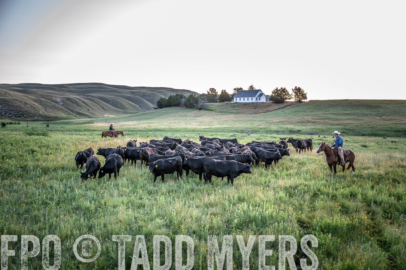 PP_TuckerRanch_NE_July2019-40440