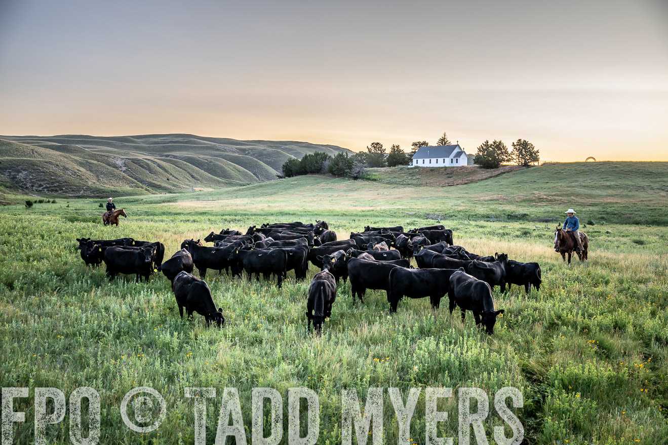 PP_TuckerRanch_NE_July2019-40504