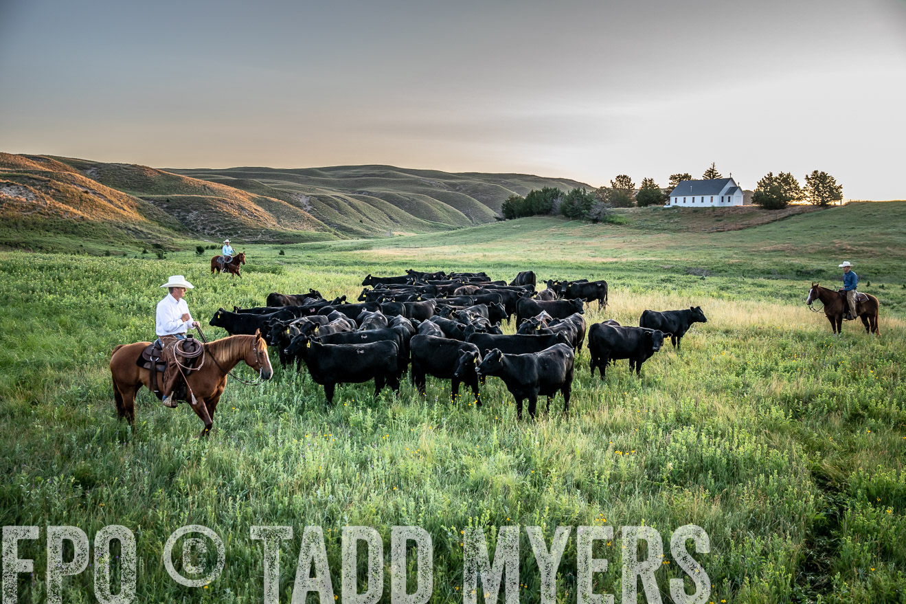 PP_TuckerRanch_NE_July2019-40588