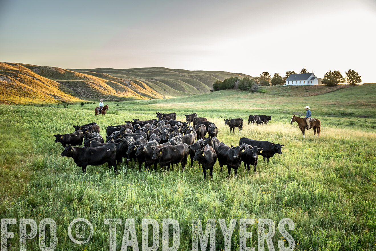 PP_TuckerRanch_NE_July2019-40688-1